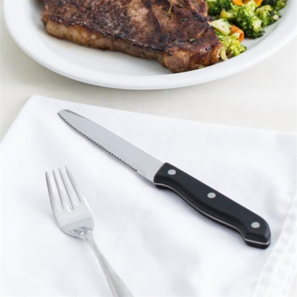 Libbey 8 7/8" Stainless Steel High Polished Blade Steak Knife - 12/Pack